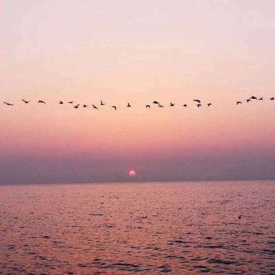 kaiyun体育全站手机app下载